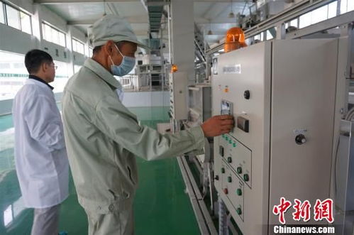 湖北三峽茶谷產業(yè)園重點項目集中開工