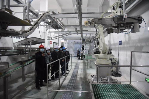 恩平市新肉聯(lián)廠今日凌晨正式試投產