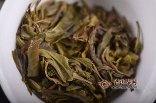 石雨益昌號(hào)滑竹梁子 總有一種西雙版納巔峰的味道讓你無(wú)法忘懷 產(chǎn)品新聞,普洱茶產(chǎn)品新聞,新品上市新聞 普洱茶網(wǎng)