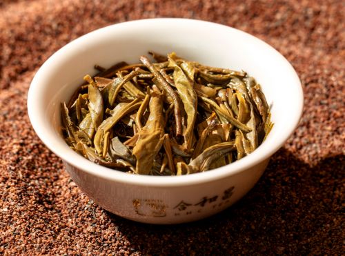 白云山五一上演廣州有史以來最大茶會(huì) 合和昌攜臻品好茶亮相