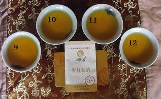 一茶一世界，一飲一傾心 潤元昌歲月金韻茶樣試喝體驗